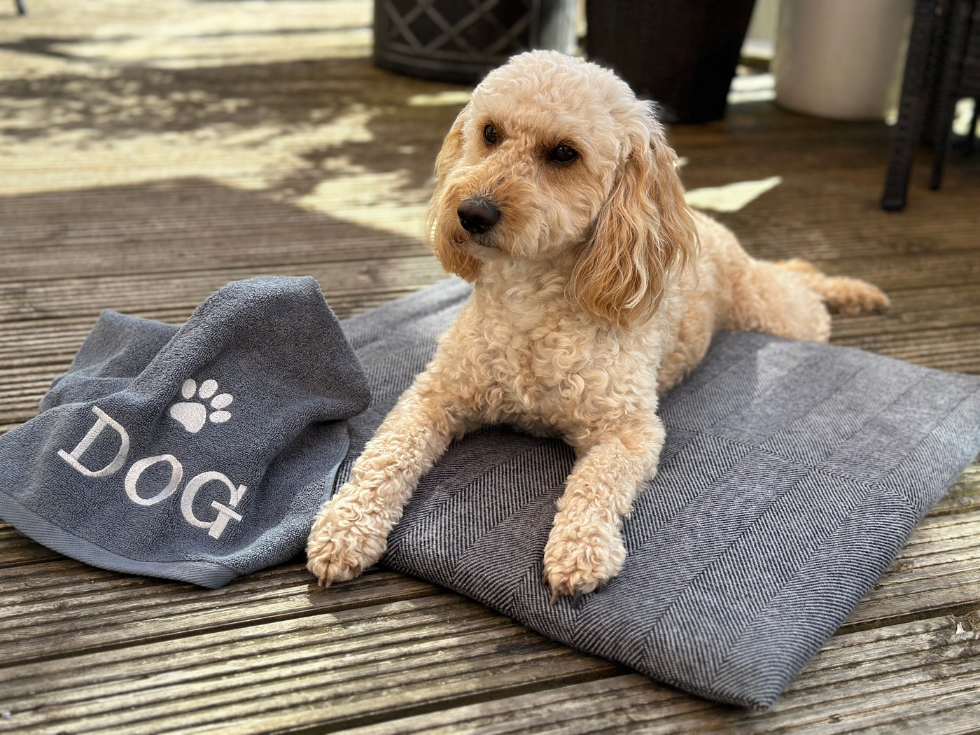 Pet Products from The Fine Cotton Company