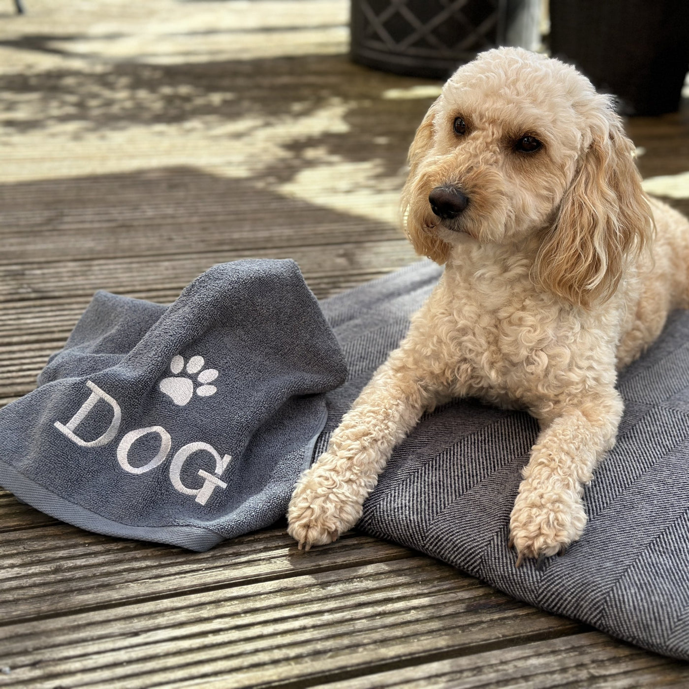 Paw Embroidered Light Weight Towel Collection - for dogs and cats