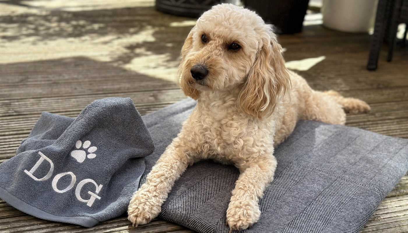 Embroidered Dog Towels
